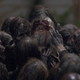 Original photos: The Walking Dead/AMC, Chris Radburn/PA Images via Getty Images